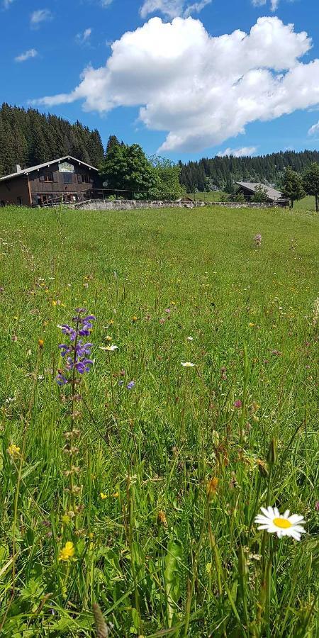 Gite Les Lanfiannes Thorens-Glières Kültér fotó