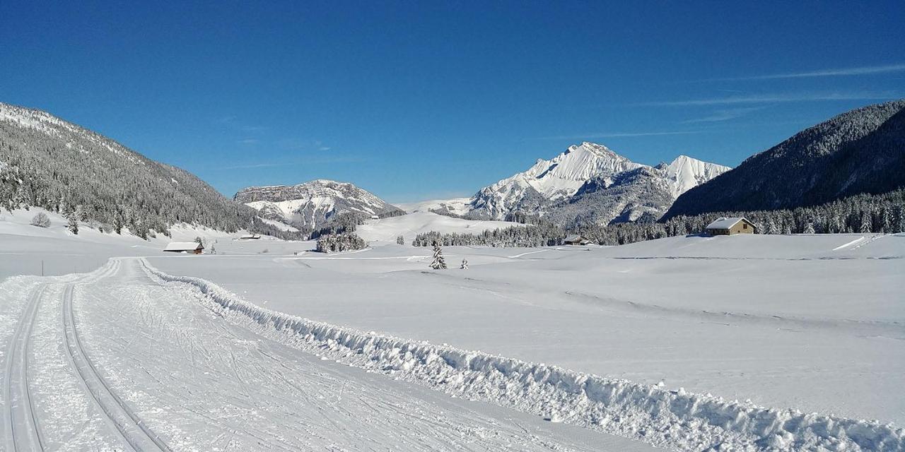 Gite Les Lanfiannes Thorens-Glières Kültér fotó