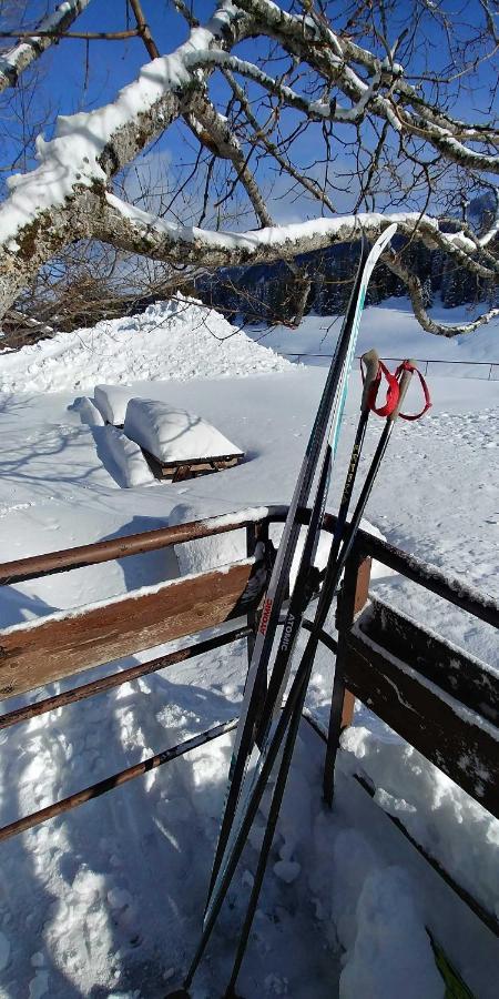 Gite Les Lanfiannes Thorens-Glières Kültér fotó