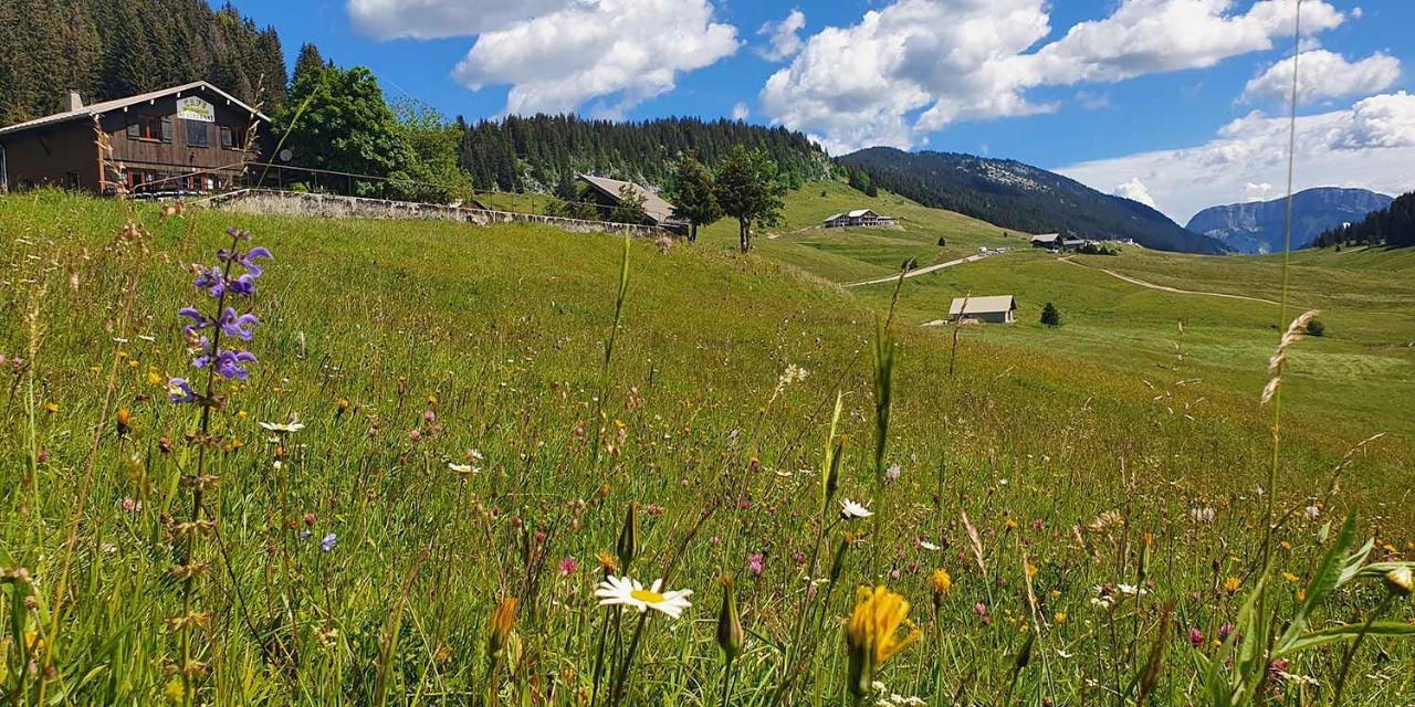 Gite Les Lanfiannes Thorens-Glières Kültér fotó