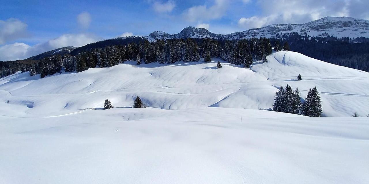Gite Les Lanfiannes Thorens-Glières Kültér fotó