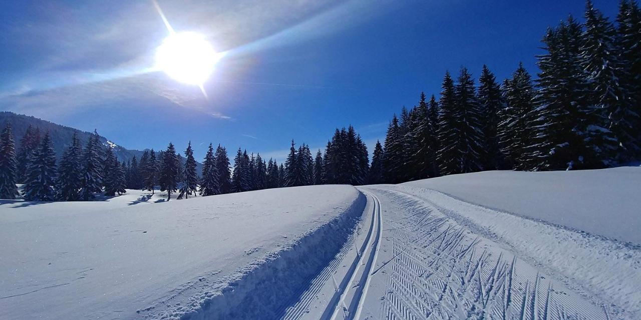Gite Les Lanfiannes Thorens-Glières Kültér fotó