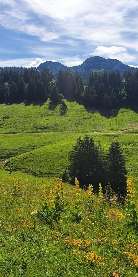 Gite Les Lanfiannes Thorens-Glières Kültér fotó